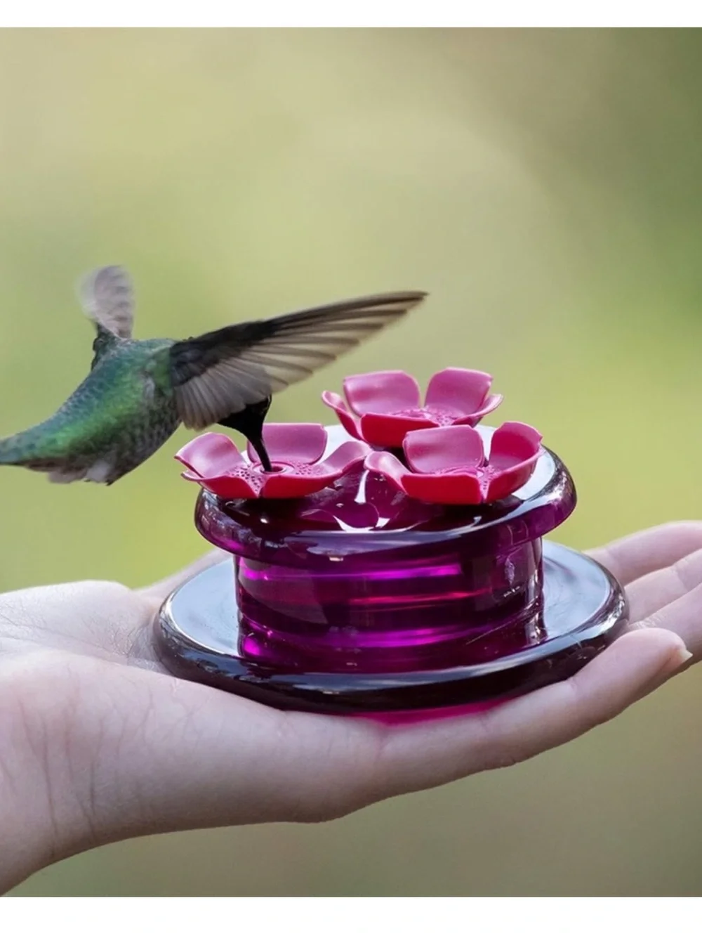 NIB | Perky-Pet | Hummingbird Plastic Handheld Nectar Bird Feeder | 3-Ports 2 oz